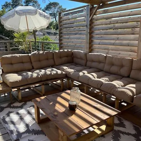 Vue 라카노오세앙